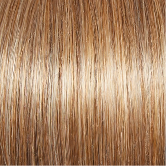 Incentive Wig by Gabor | Lace Front | Mono Top | Petite Cap