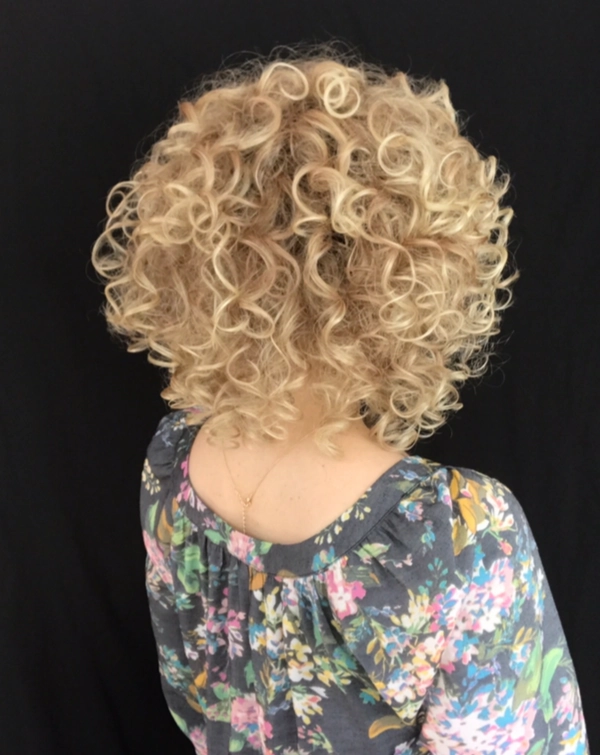 Jamila Plus Wig by Ellen Wille | Synthetic Hair | Petite/Average Cap