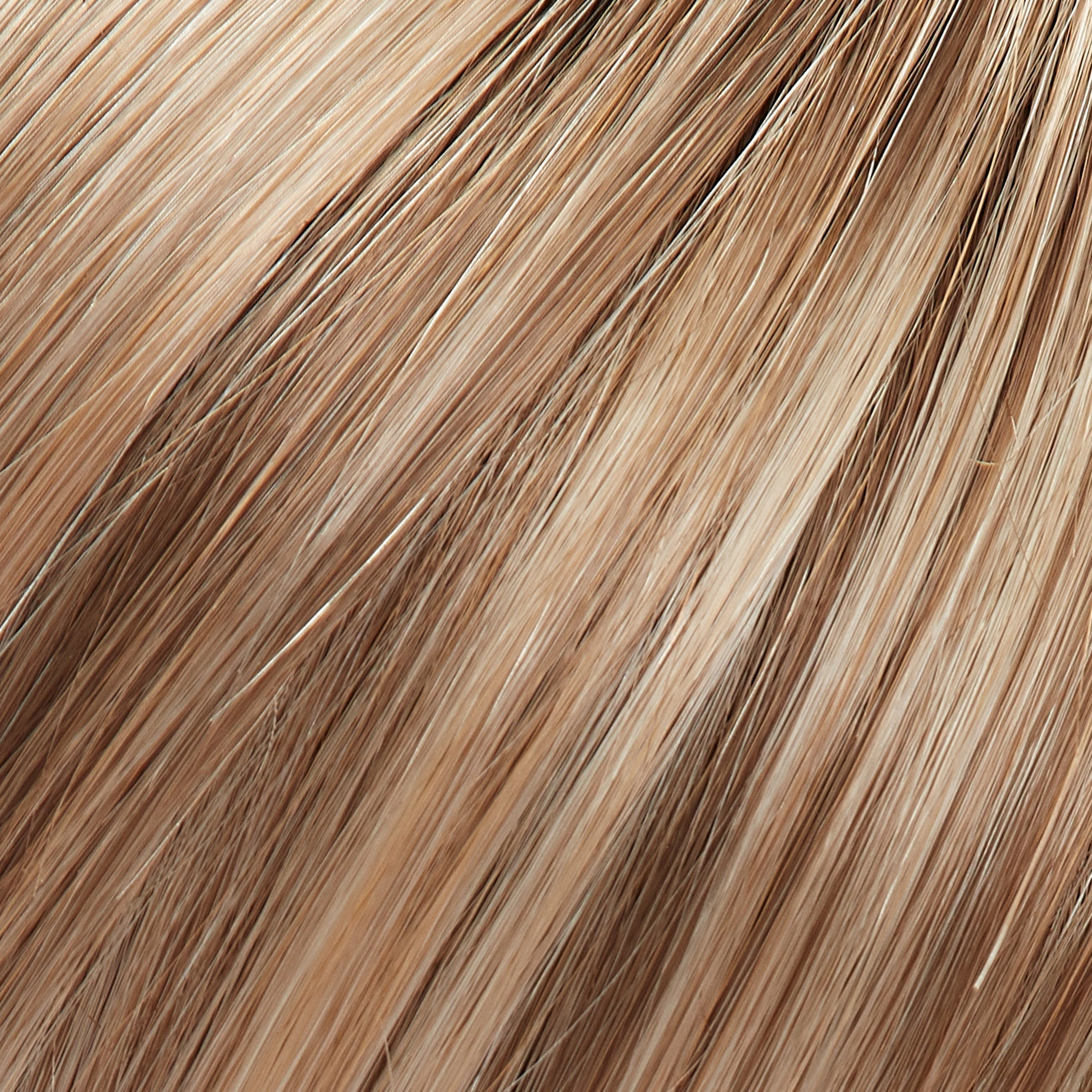 January Wig by Jon Renau | SmartLace | Mono Top | Average Cap | SHIRLEY'S CLOSET WIG | FINAL SALE