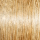 Joy  Wig by Gabor | Synthetic (Traditional Cap)