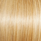 Joy  Wig by Gabor | Synthetic (Traditional Cap)