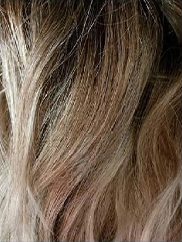 Levy Wig by Amore | Synthetic Hair | Average Cap
