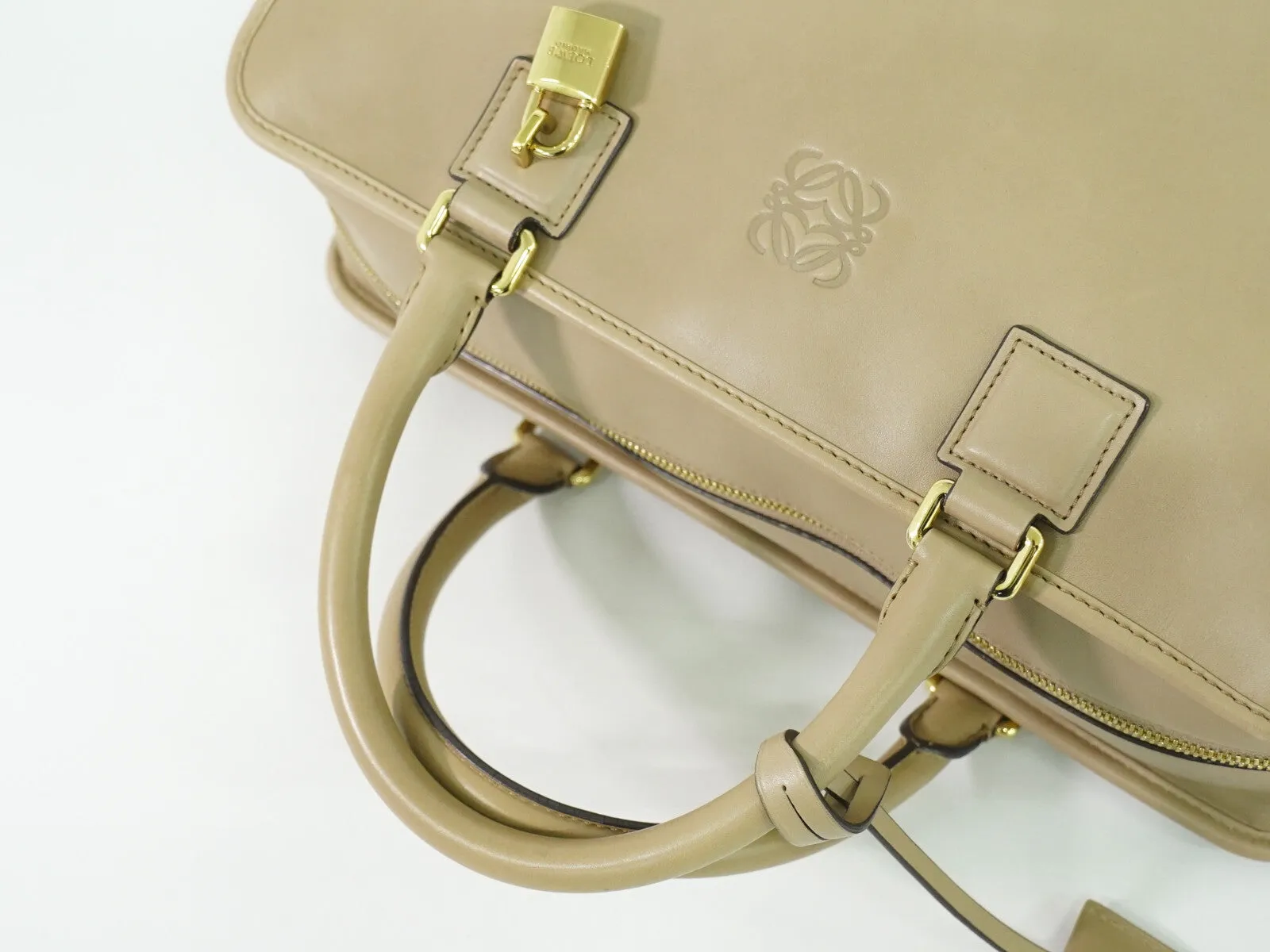 Loewe Amazona Leather Handbag (Pre-Owned)
