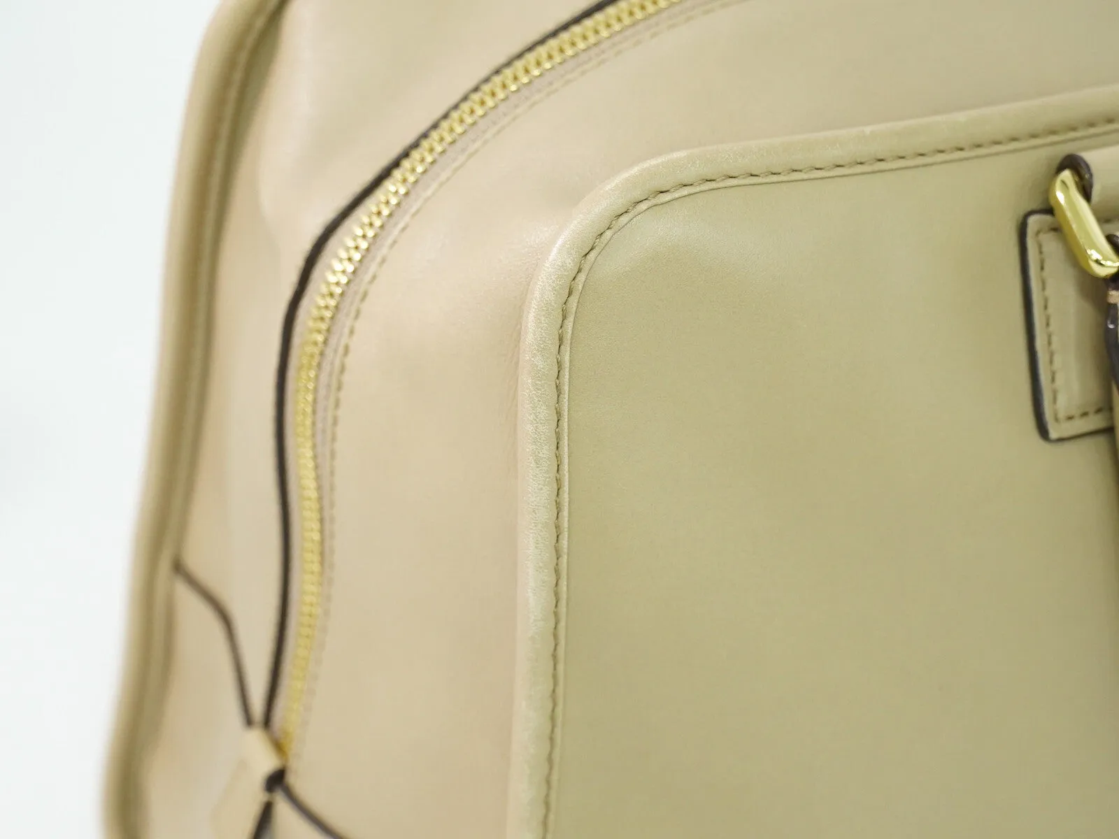 Loewe Amazona Leather Handbag (Pre-Owned)