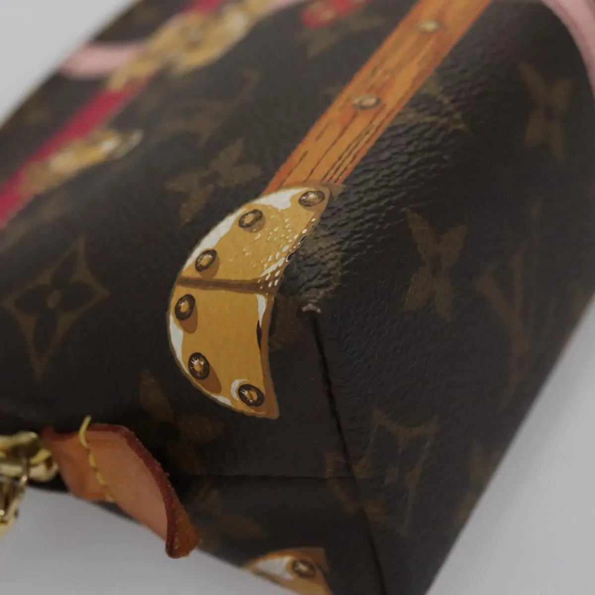 Louis Vuitton Cosmetic Pouch Canvas Clutch Bag (Pre-Owned)