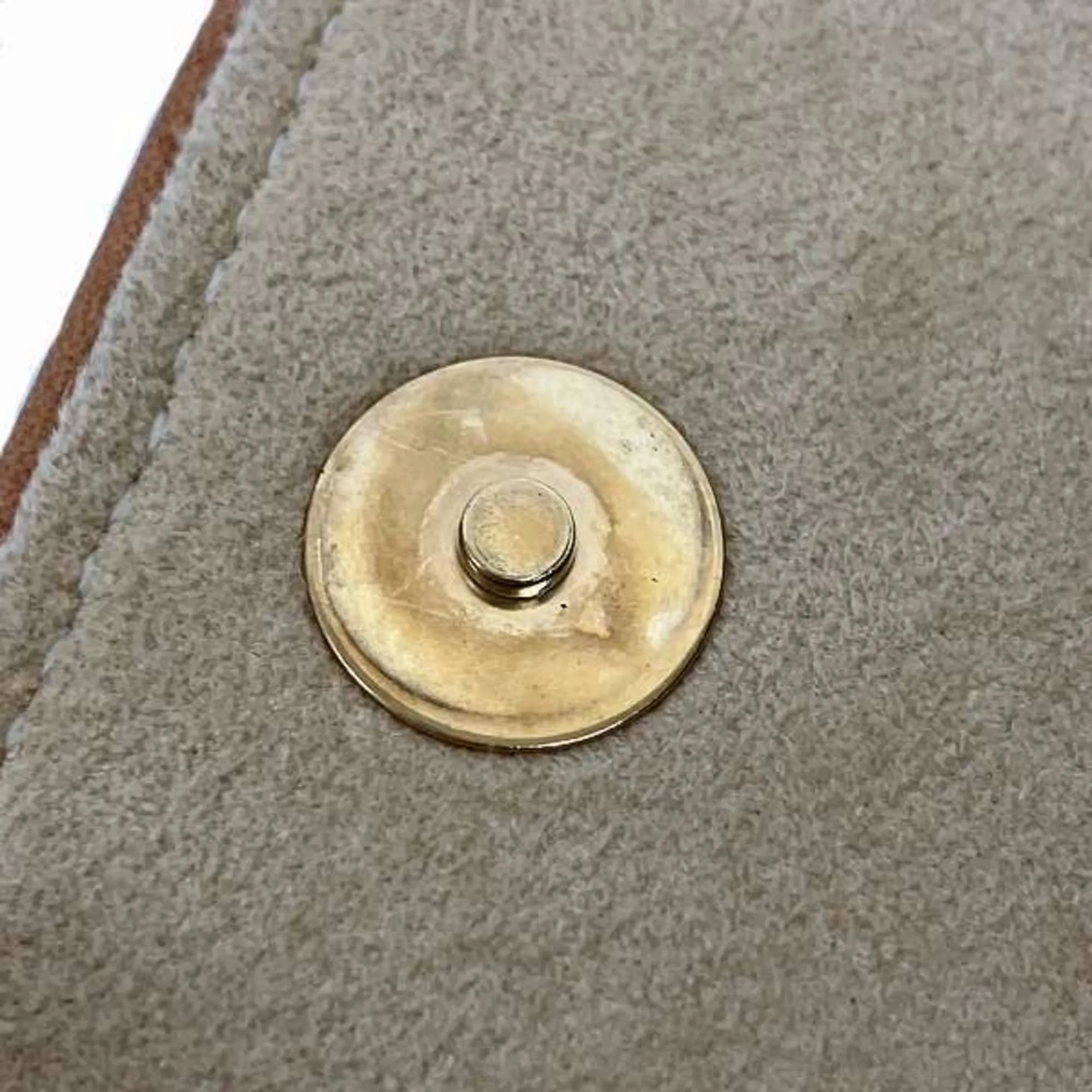 Louis Vuitton Florentine Canvas Clutch Bag (Pre-Owned)