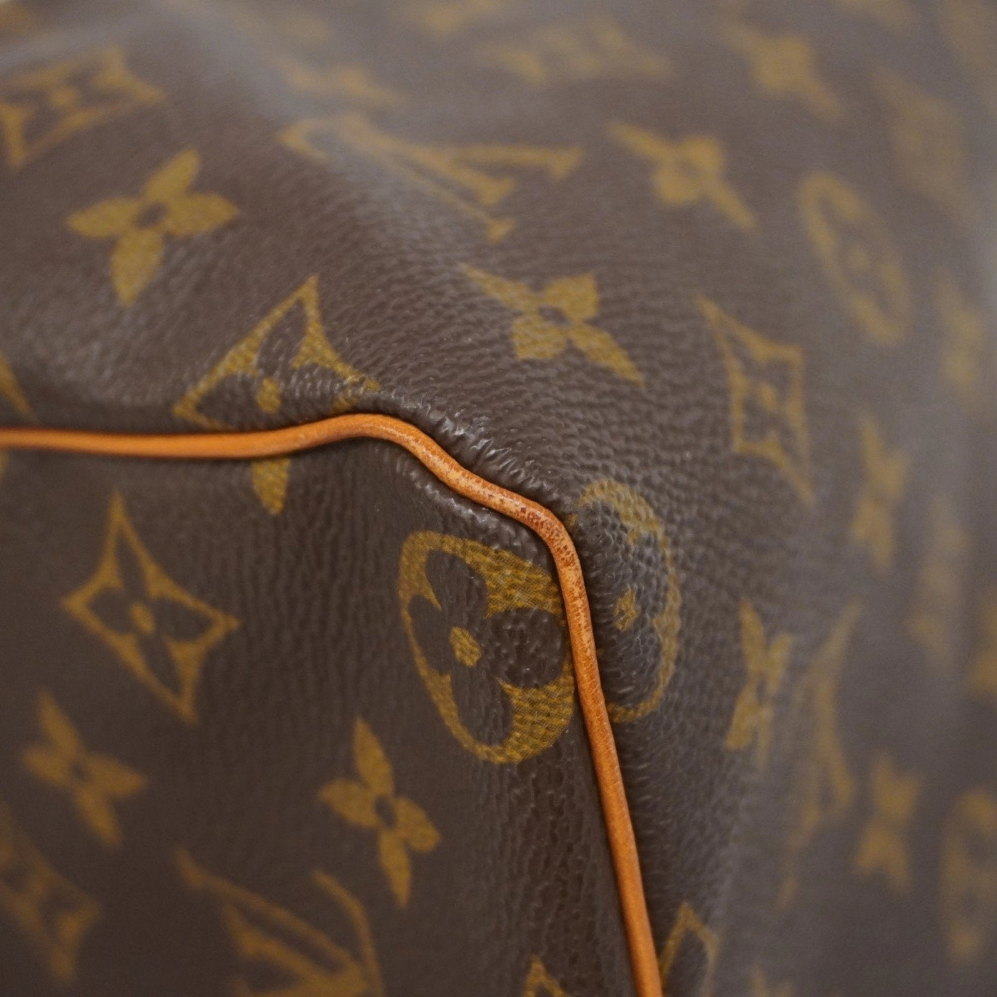 Louis Vuitton Handbag (Pre-Owned)