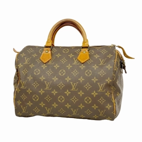 Louis Vuitton Handbag (Pre-Owned)