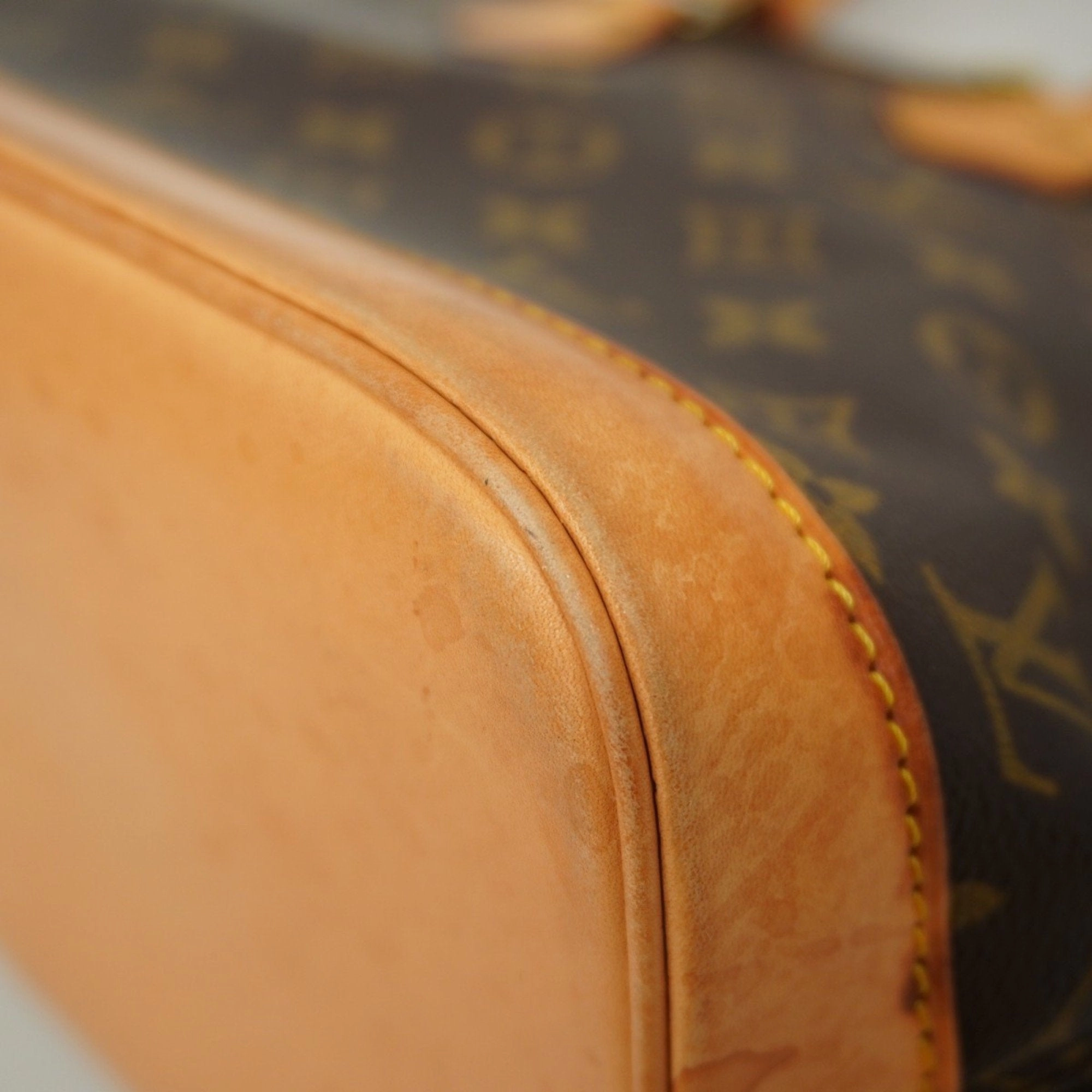 Louis Vuitton Handbag (Pre-Owned)
