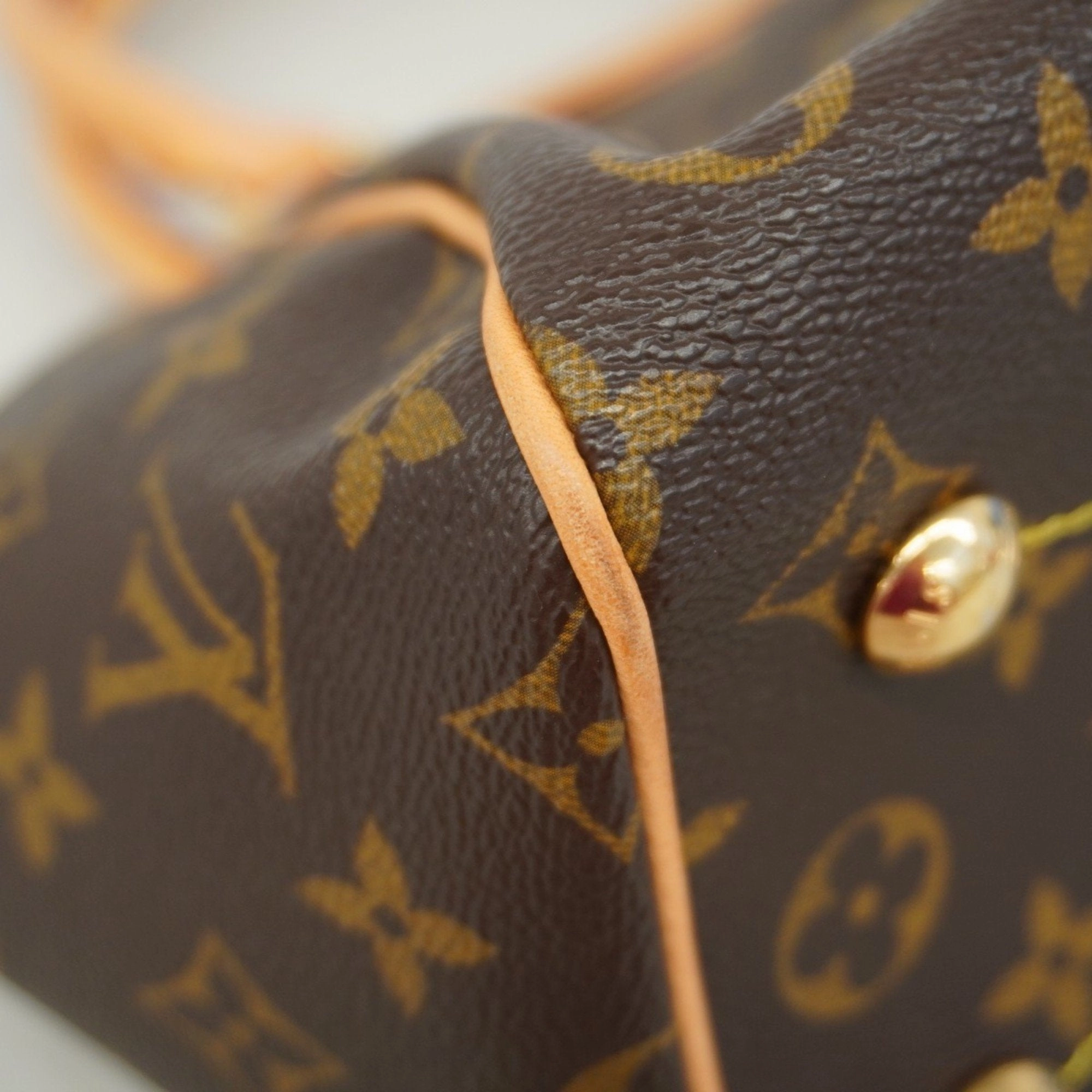 Louis Vuitton Handbag (Pre-Owned)