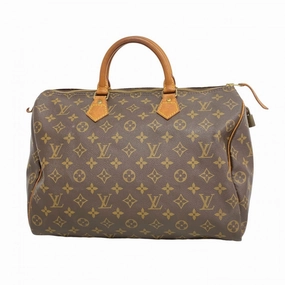 Louis Vuitton Handbag (Pre-Owned)