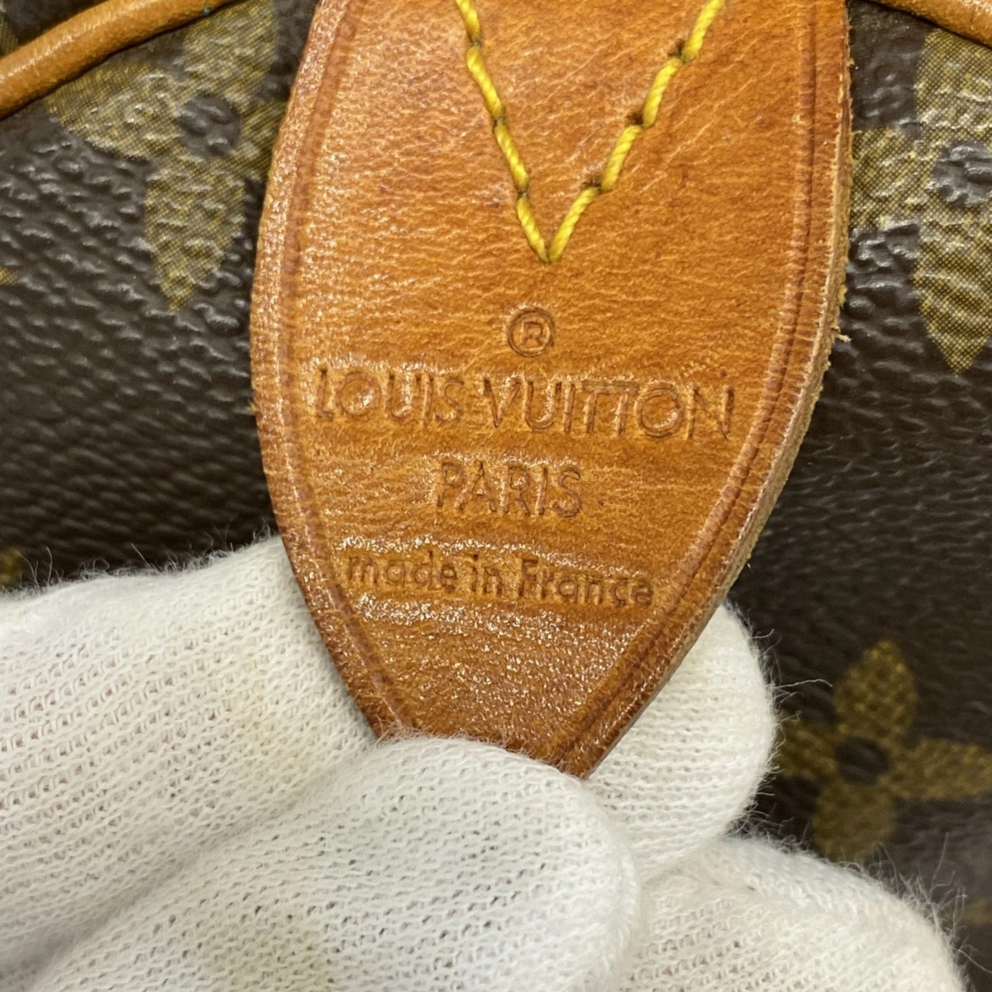 Louis Vuitton Handbag (Pre-Owned)