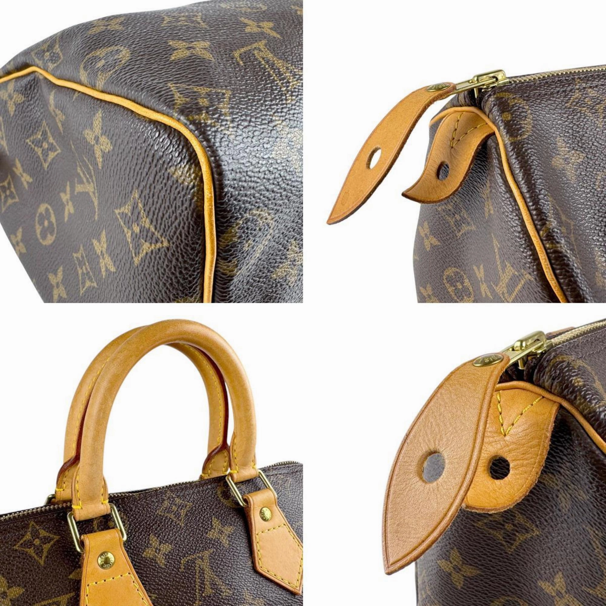 Louis Vuitton Monogram Canvas Handbag (Pre-Owned)
