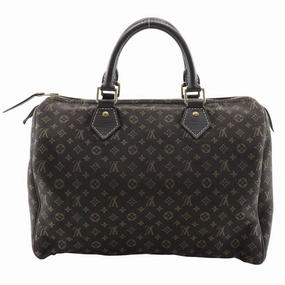 Louis Vuitton Monogram Mini Lin Ebene Monogram Mini Lin Handbag (Pre-Owned)