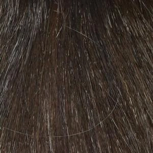 Maya Wig by Envy | Synthetic (Lace Front Mono Top)
