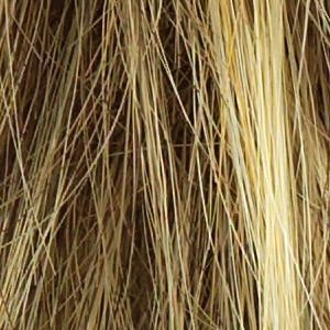 Muse Wig by Raquel Welch | Synthetic (100% Hand-Knotted Lace Front Mono Top)