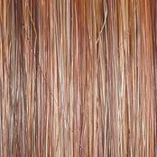 On The Cover Wig by Raquel Welch | Heat Friendly Synthetic (Lace Front Mono)