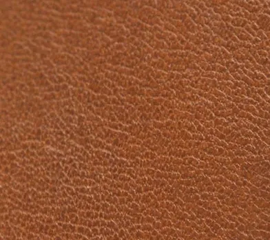 Osgoode Marley RFID 6 Pocket Card Case