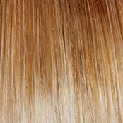 Own the Room Wig by Gabor | Heat Friendly Synthetic (Lace Front Mono)