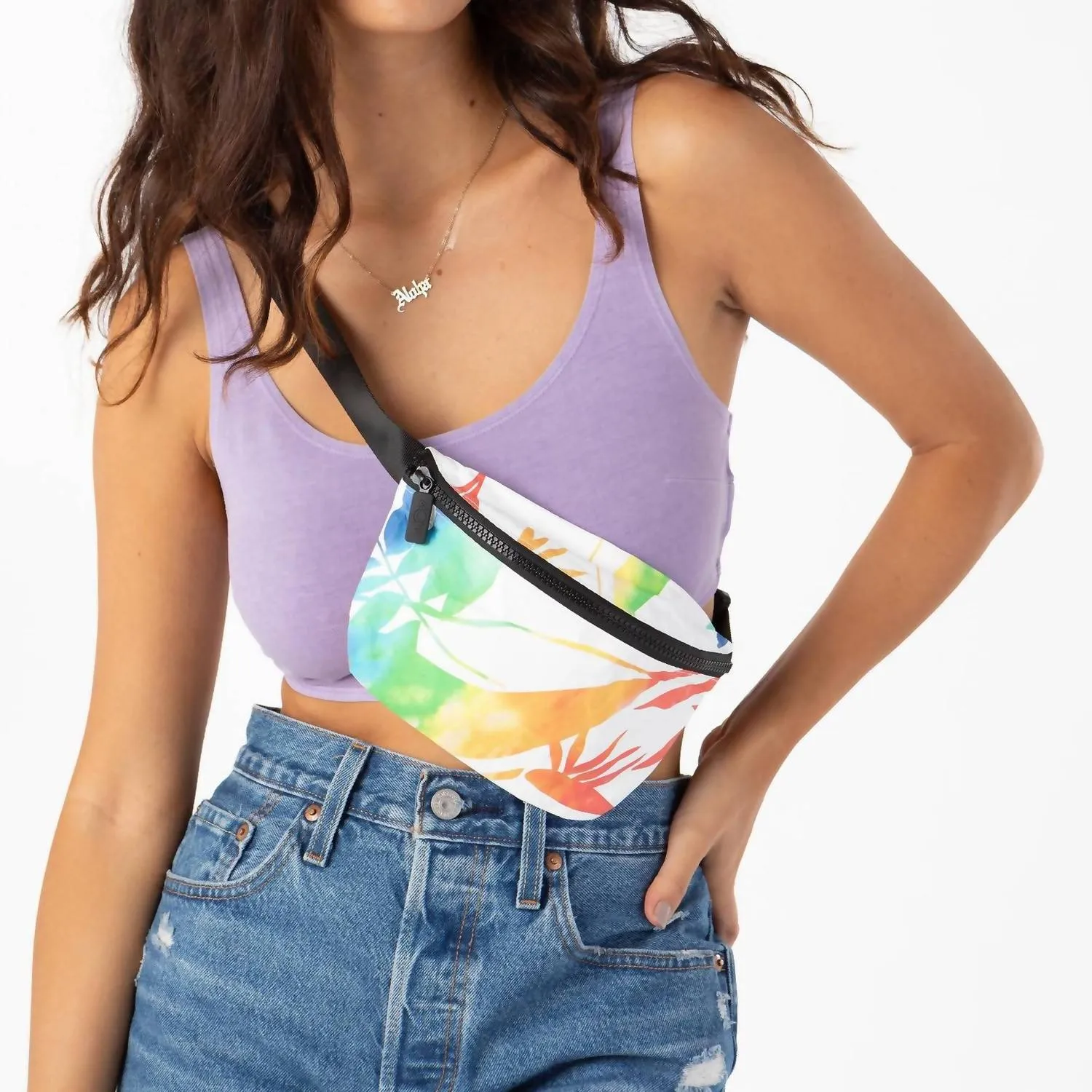 Painted Birds Hip Pack In Rainbow
