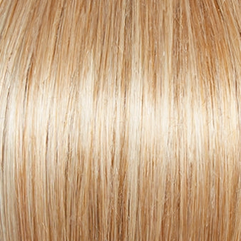 Paradox Wig by Gabor | Lace Front | Mono Top | Synthetic Fiber