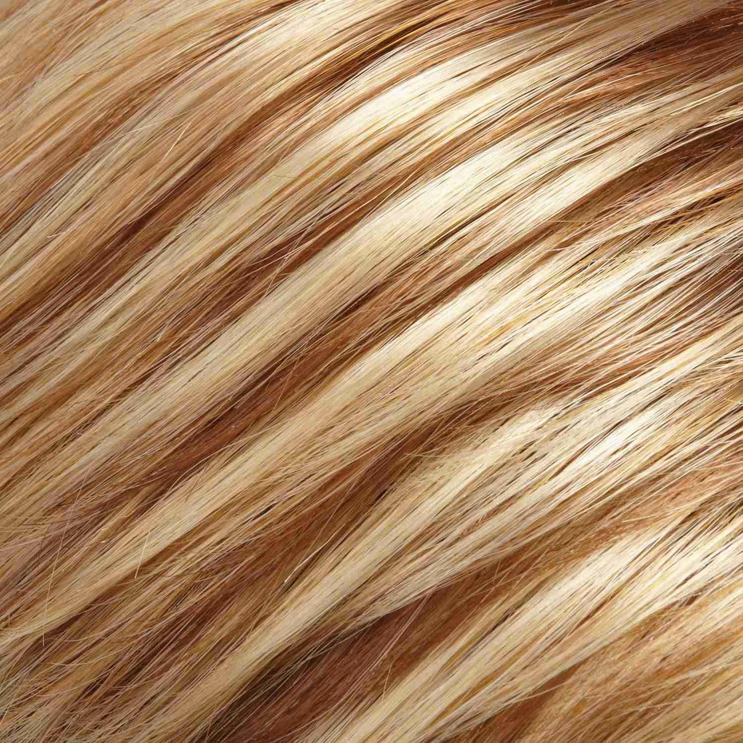 Petite Cameron Wig by Jon Renau | Synthetic (Lace Front 100% Hand Tied Mono Top)
