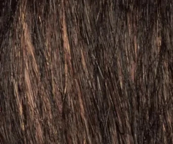 Petite Tiffany wig - Envy Collection