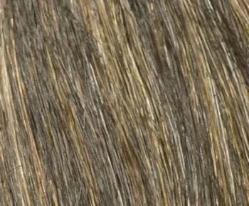 Petite Tiffany wig - Envy Collection
