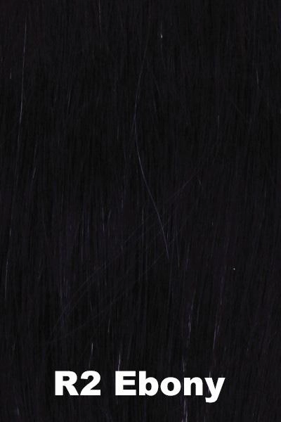 Raquel Welch Wigs - Sparkle