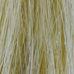 Remy HH Topper 10" by Amore | Human Hair Lace Front (Mono)