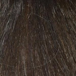 Rose Wig by Envy | Synthetic (Lace Front Mono Top)