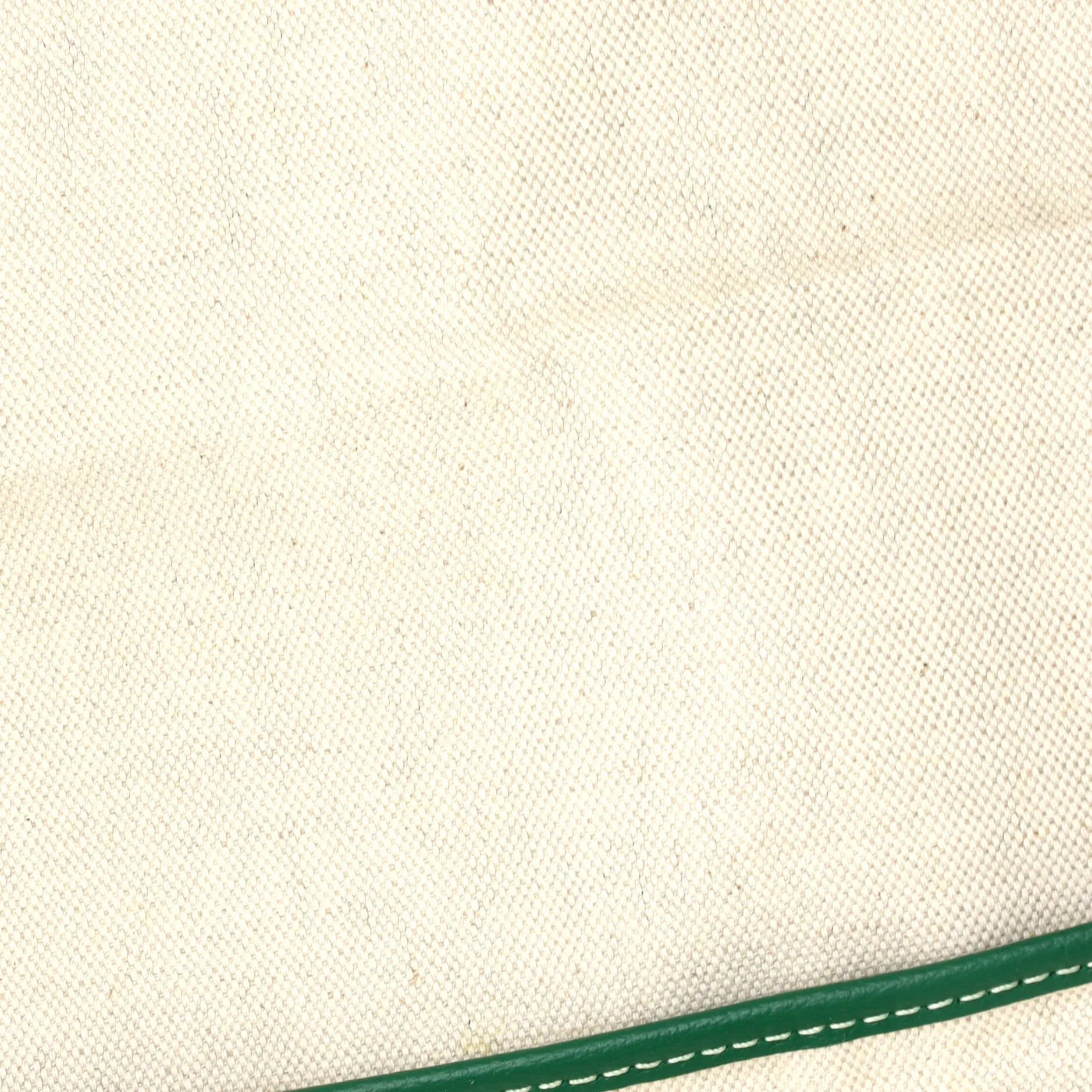 Saint Louis Tote Coated Canvas GM