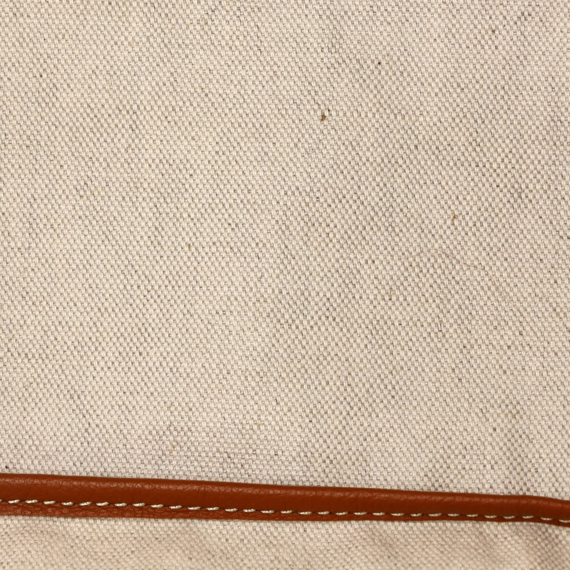 Saint Louis Tote Coated Canvas PM