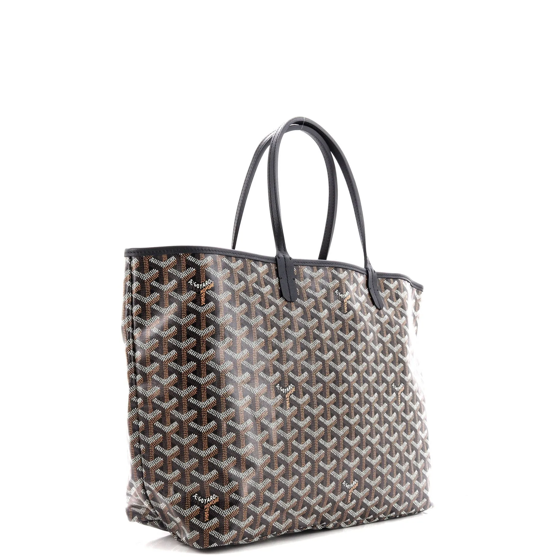 Saint Louis Tote Coated Canvas PM