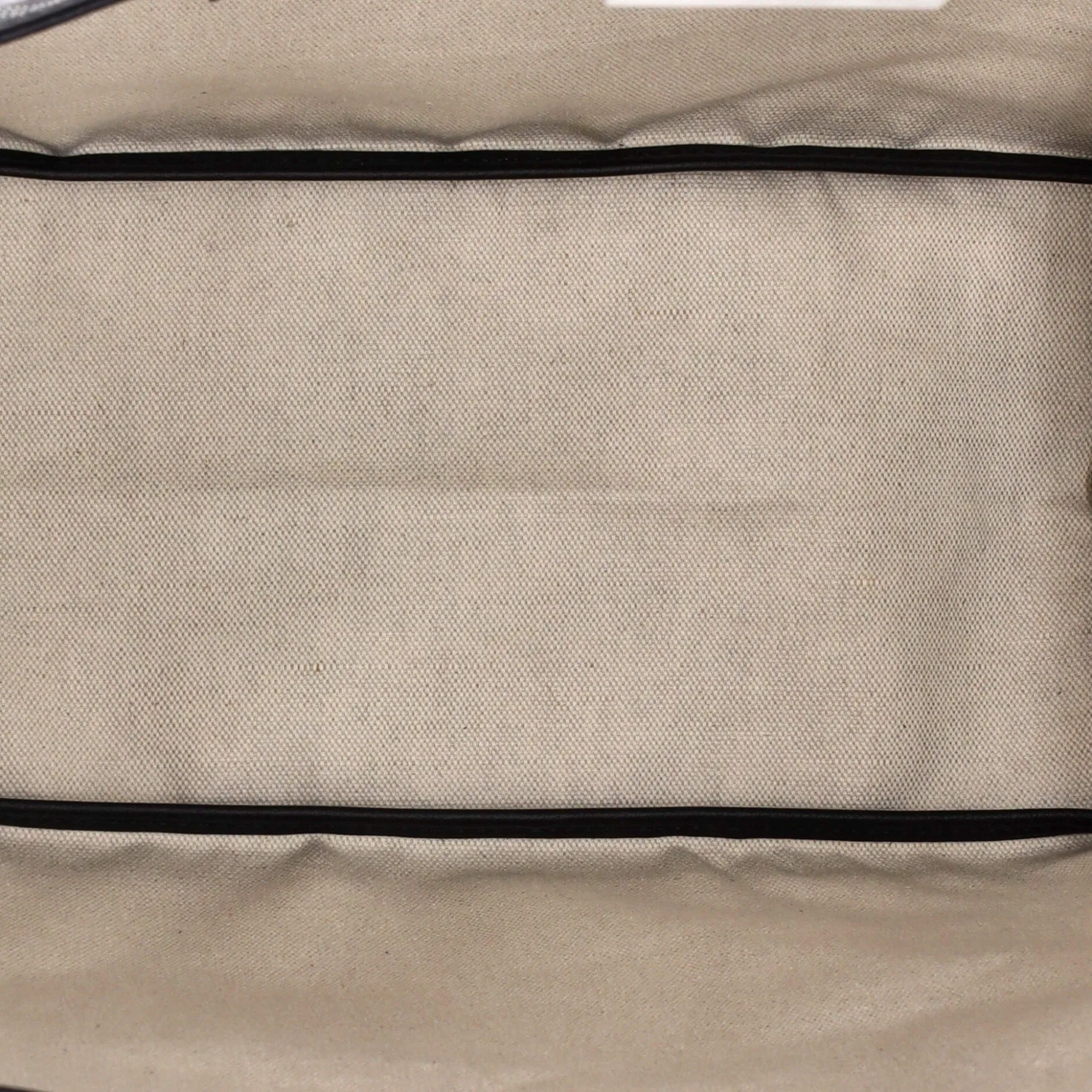 Saint Louis Tote Coated Canvas PM