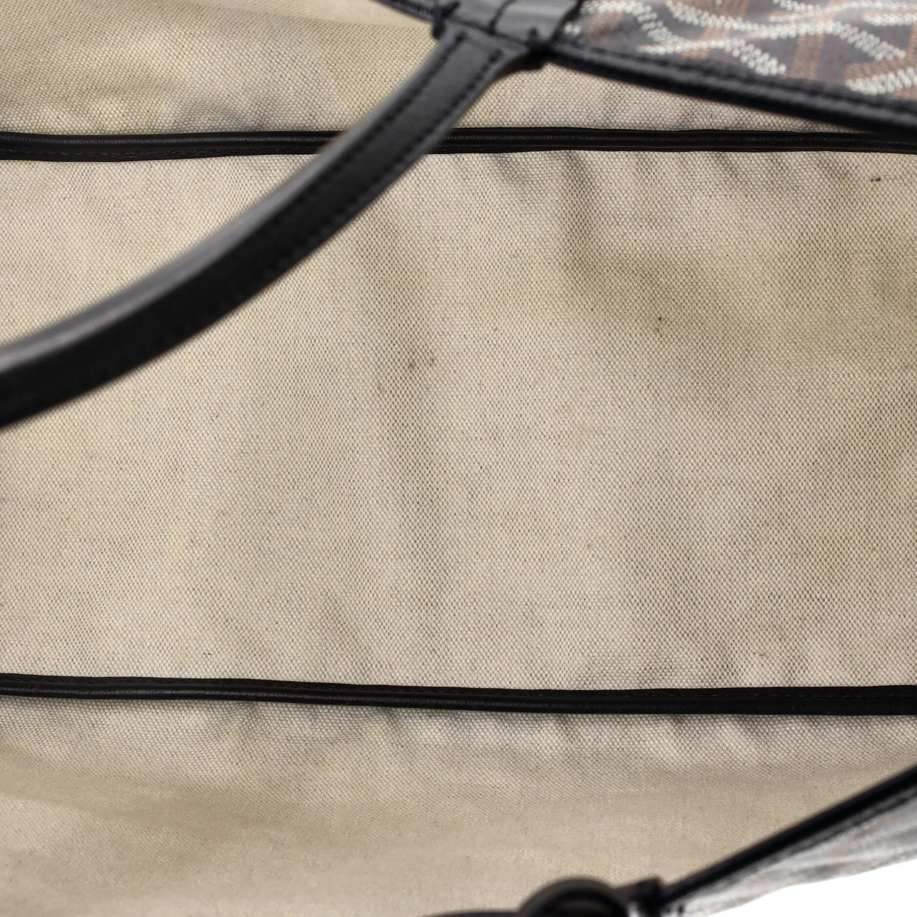 Saint Louis Tote Coated Canvas PM