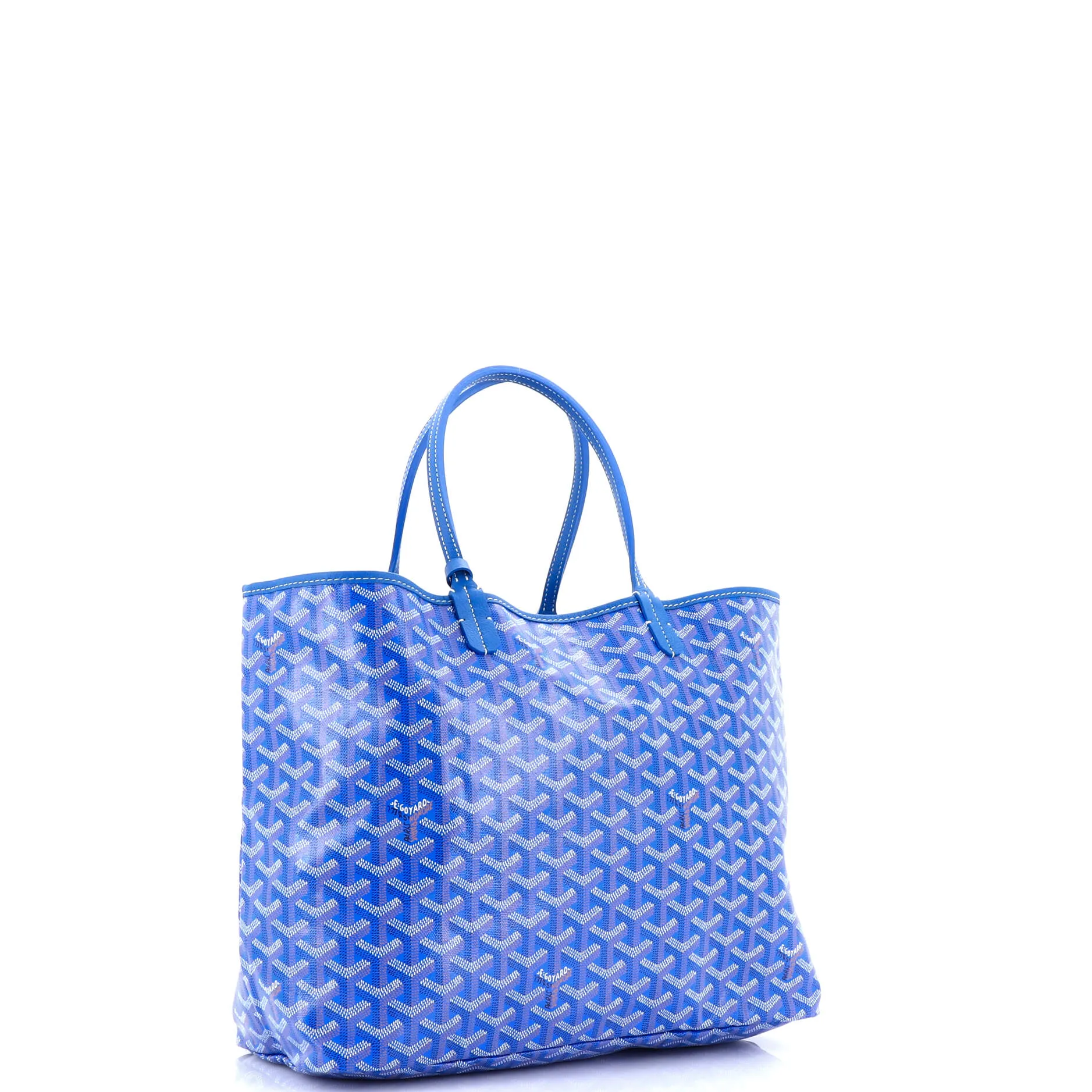 Saint Louis Tote Coated Canvas PM