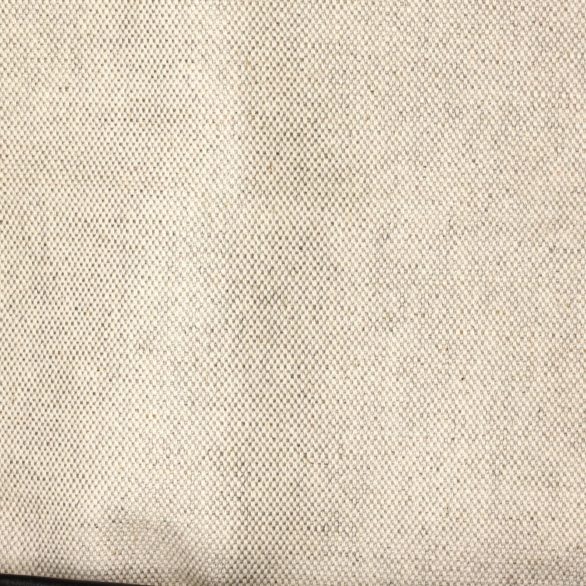 Saint Louis Tote Coated Canvas PM