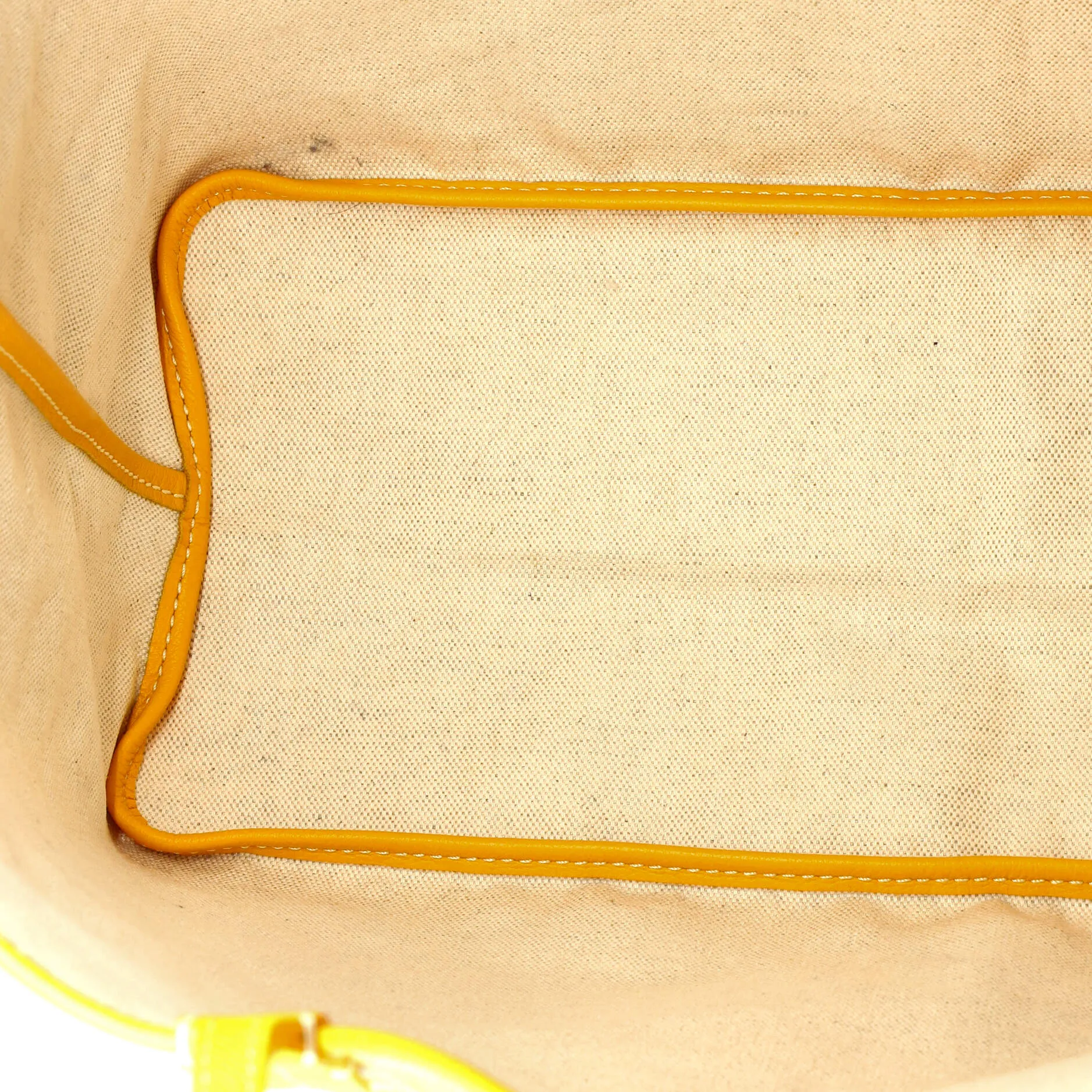 Saint Louis Tote Coated Canvas PM