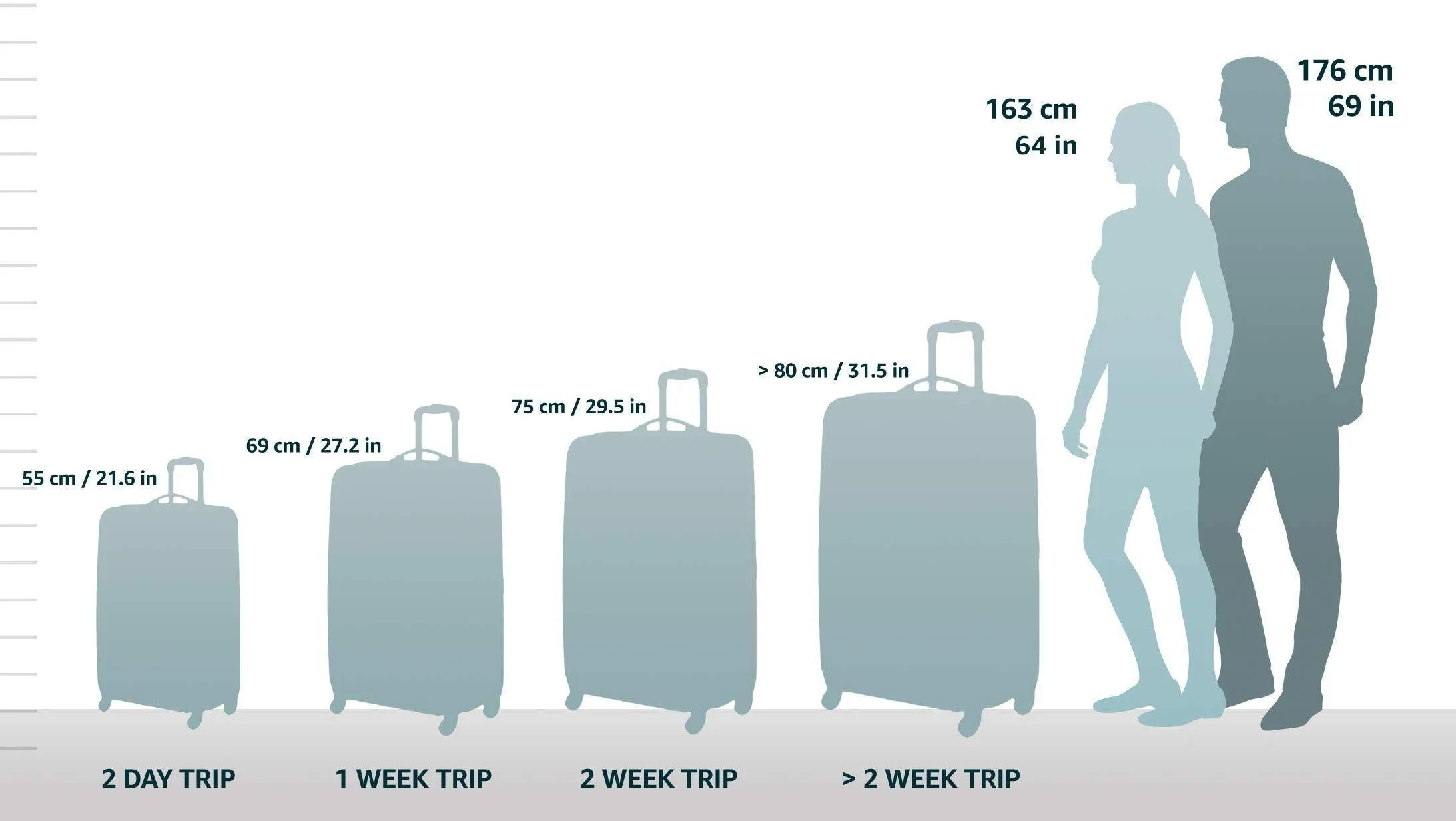 Samsonite Centric 2 Piece Set (20"/24") Hardside 4-Wheel Luggage Sets
