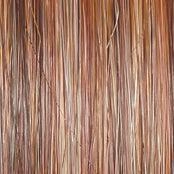 Simmer Elite Petite Wig by Raquel Welch | Synthetic (Hand-Tied Mono)