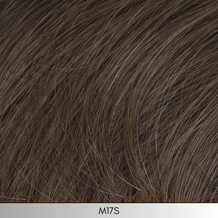 Sophistication - HIM Men's Collection by HairUWear