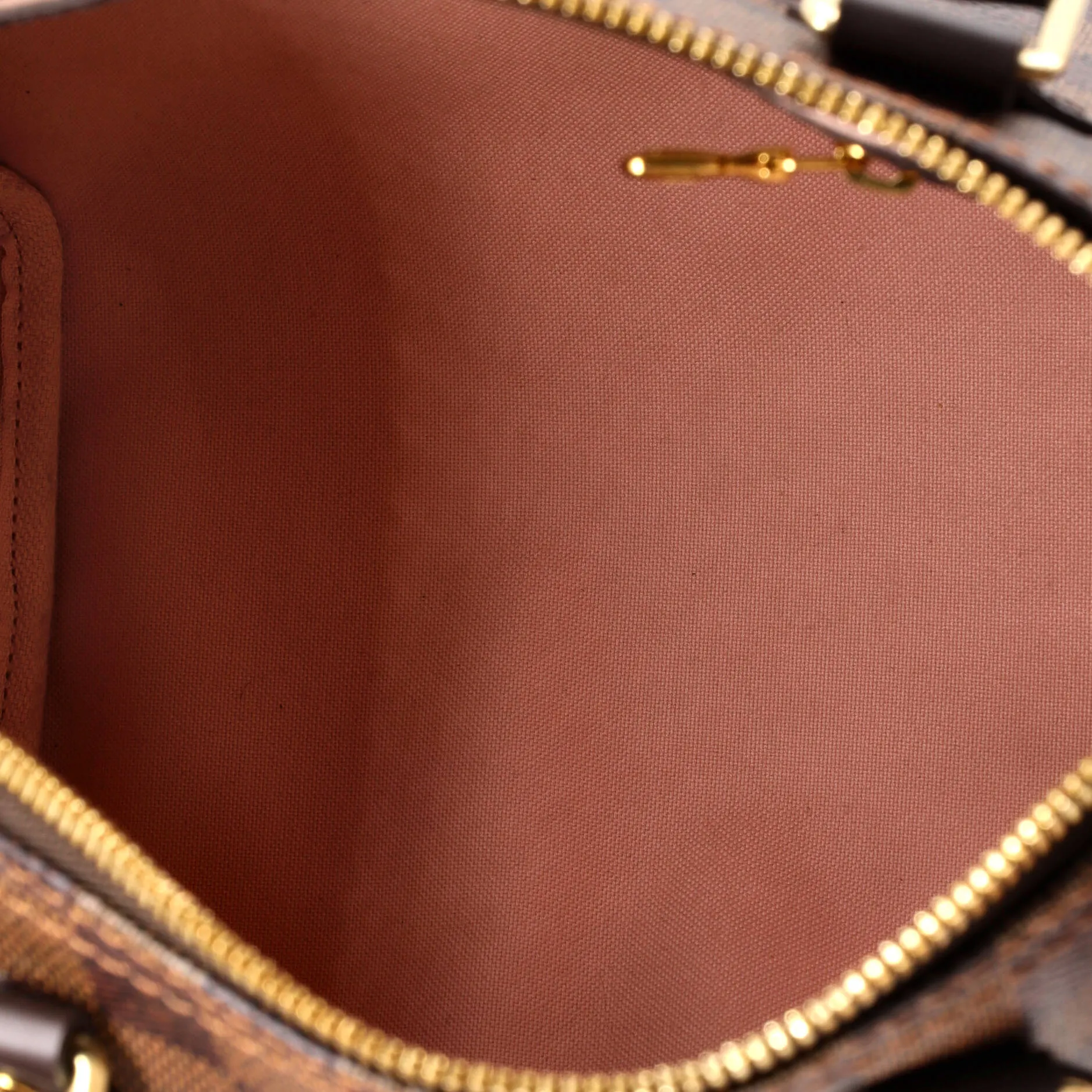 Speedy Bandouliere Bag Damier with Braided Detail 25