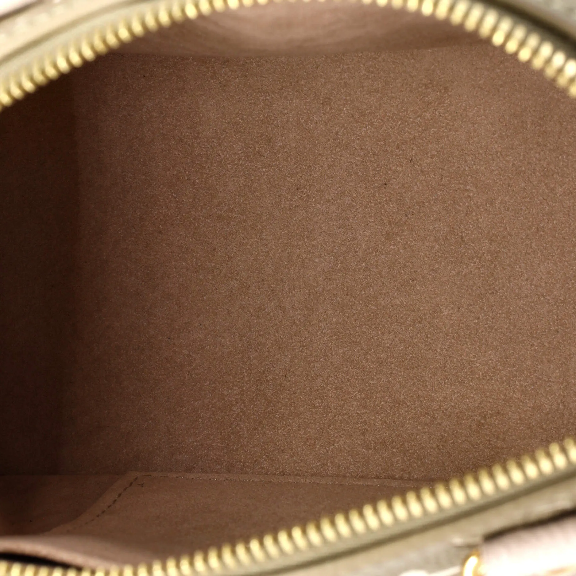 Speedy Bandouliere Bag Spring in the City Monogram Empreinte Leather 20
