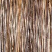 Statement Style Wig by Raquel Welch | Synthetic Lace Front (Mono)