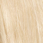 Success Story wig - Raquel Welch Black Label Human Hair Collection