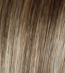 Success Story wig - Raquel Welch Black Label Human Hair Collection