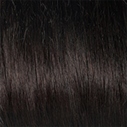 Success Story wig - Raquel Welch Black Label Human Hair Collection