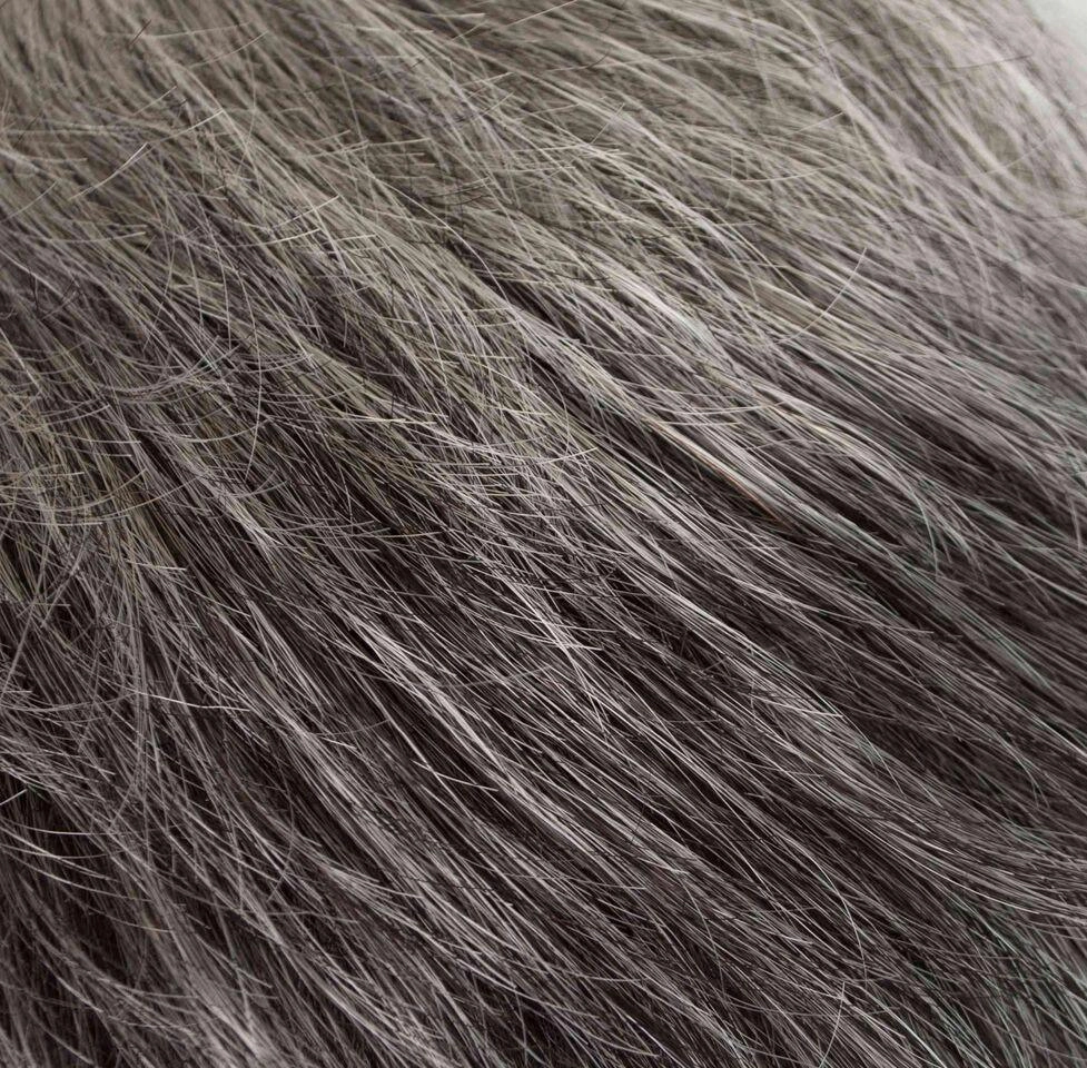 Tawny Wig by Tony of Beverly | Synthetic Wig (Traditional Cap)