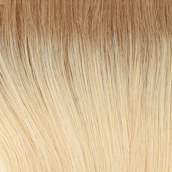 The Good Life HT Wig by Raquel Welch | Remy Human Hair Hair | Average Cap